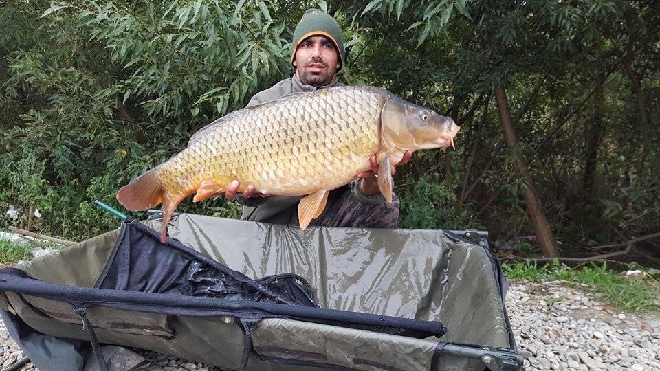 Cupa Toamnei !  8 - 11 octombrie 2015 - 12071884942376045829848757533107n.jpg